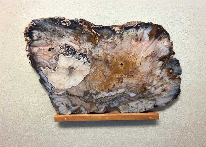 Petrified Wood